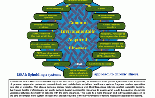 Common Environmentally Acquired Illnesses (EAIs)