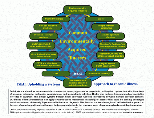 The A to Z of EAI (Environmentally Acquired Illness)