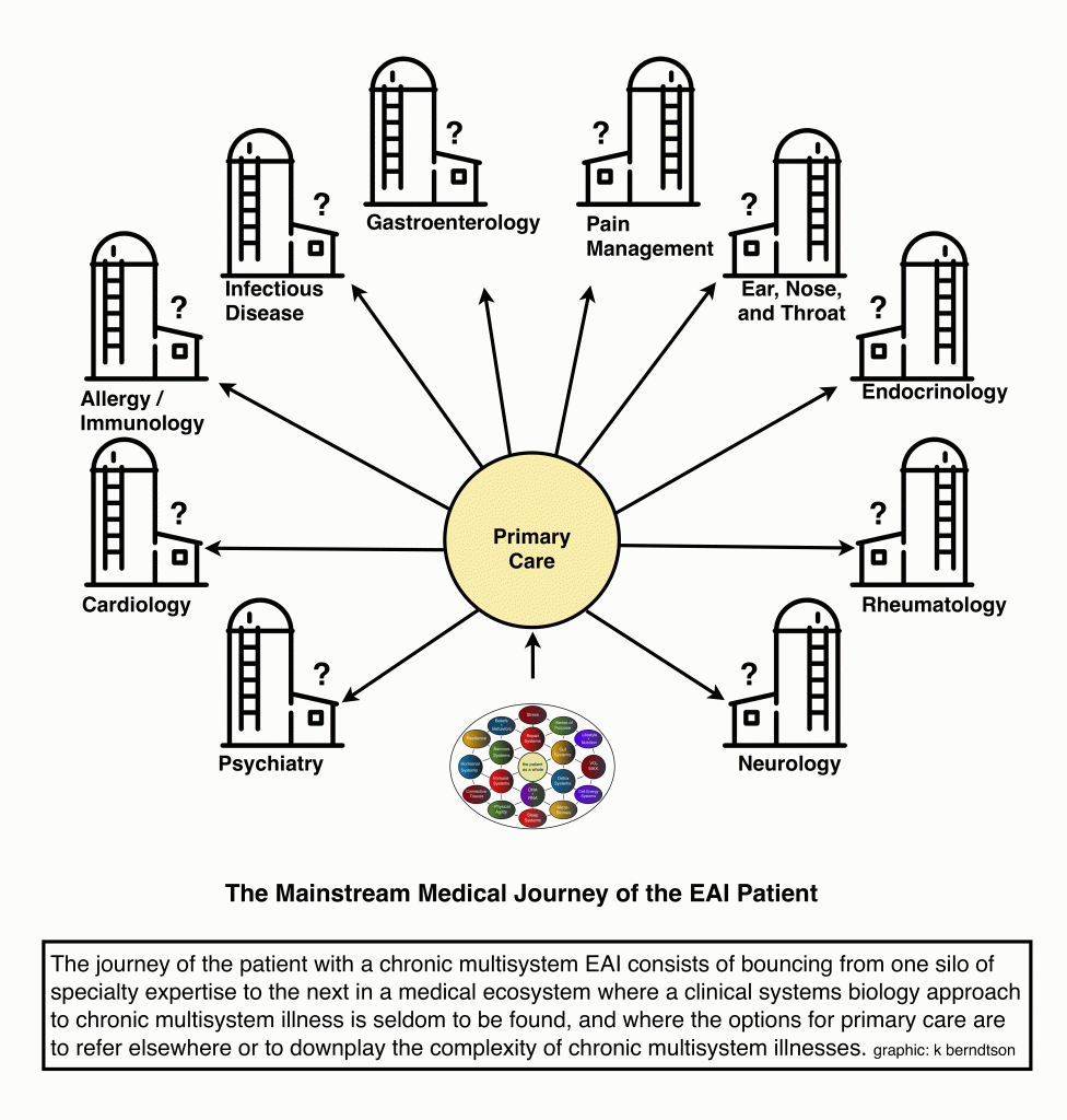 The journey of the patient with a chronic multisystem environmentally acquired illness (EAI). Bouncing from one silo of specialty expertise to the next. Gastroenterology, Pain Management, Ear, Nose, and Throat. Endocrinology, Rheumatology, Neurology, Psychiatry, Cardiology, Allergy, Immunology, Infectious Disease.