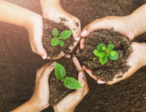 Welcome to the ISEAI blog!